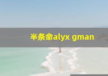 半条命alyx gman